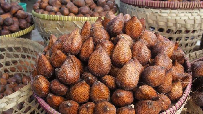 Buah Salak dan Khasiatnya bagi Penyakit