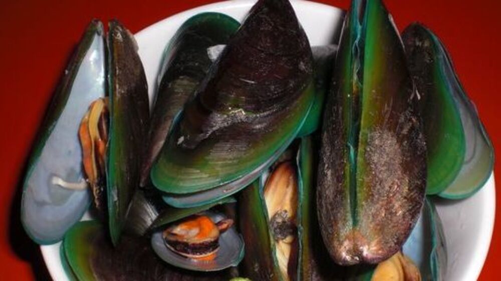 Keamanan Konsumsi Kerang Hijau Apa yang Perlu Anda Ketahui