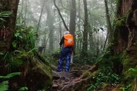 Pendakian Gunung Salak Ditutup